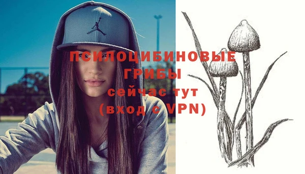 дурь Абаза
