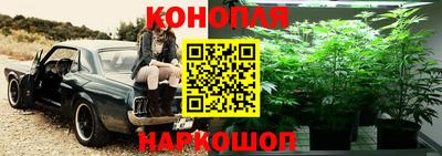 гидропоника Заводоуковск
