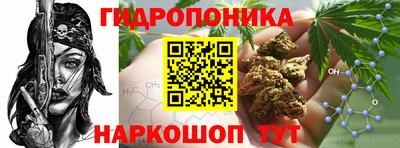 jwh Заволжье