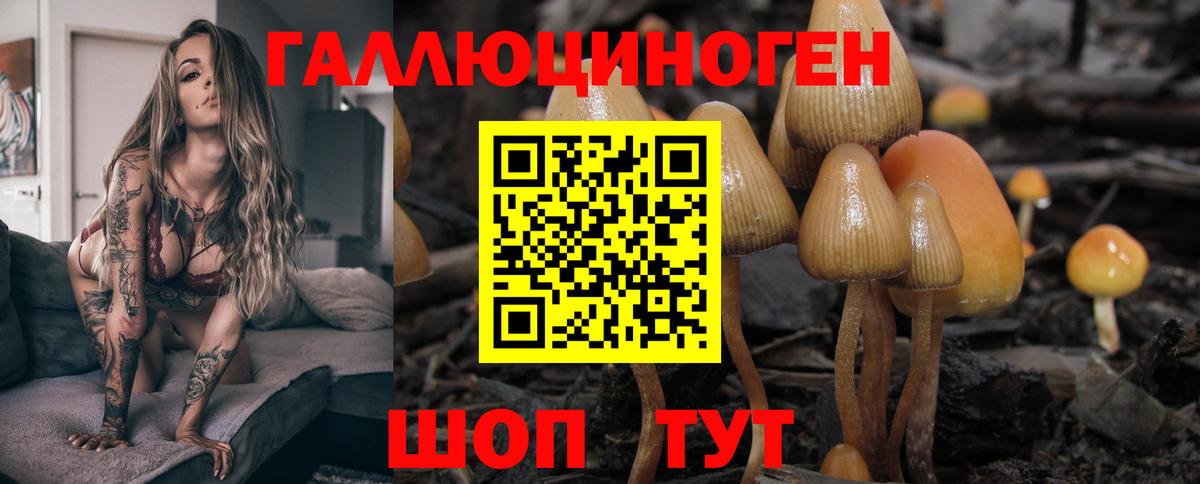Мурино  Галлюциногенные грибы Psilocybe  как найти закладки  Вход с VPN 